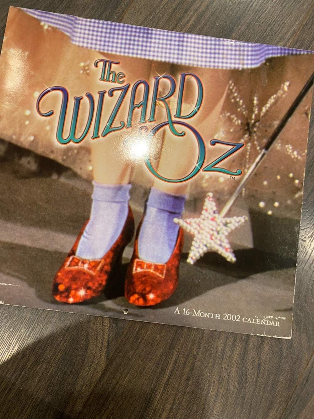 The Wizard of Oz Dorothy Ruby Red Slippers 2002 calendar 4:5